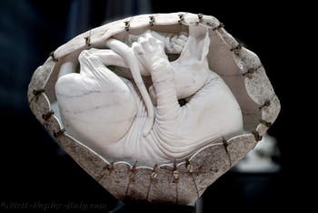 Jago, Sphynx, the Jago Museum in Naples, Italy