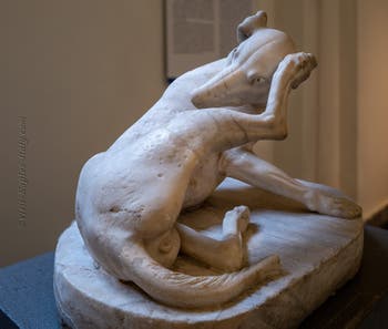 Dog grooming itself, Farnese Collection, Archaeological Museum of Naples, Italy