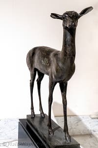 Fawn, Villa dei Papiri, Herculaneum, Archaeological Museum of Naples, Italy