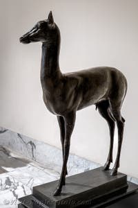 Fawn, Villa dei Papiri, Herculaneum, Archaeological Museum of Naples, Italy
