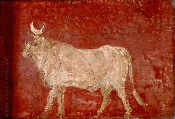 Apis Bull Fresco, Pompeii, Archaeological Museum of Naples