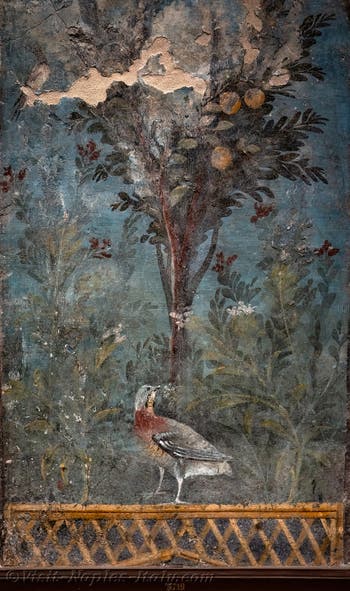 Mural depicting a garden, a pomegranate tree and birds, Herculaneum, Archaeological Museum of Naples