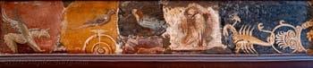 Fresco depicting a griffin, birds and a scorpion, Stabiae, Villa di Arianna, Archaeological Museum of Naples