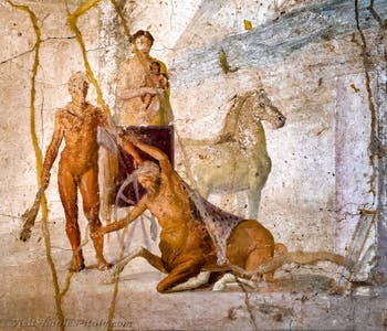 Fresco of Hercules and Nessus, Pompeii, House of Jason, Archaeological Museum of Naples