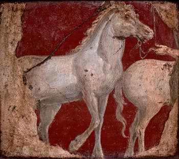 Fresco Two horses in a bridle, Stabiae, Villa di Arianna, Archaeological Museum of Naples