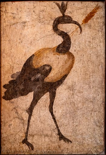 Fresco of the Sacred Ibis of the Nile, Pompeii, Temple of Isis, Sacrarium, Archaeological Museum of Naples