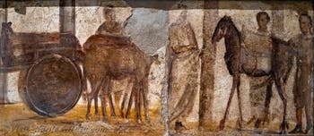Fresco depicting a cart with mules, Pompeii, Praedia di Giulia Felice, Archaeological Museum of Naples