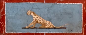 Panther fresco, Pompeii, Mamia tomb, Naples Archaeological Museum