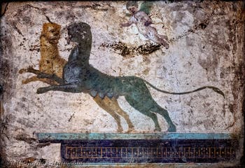 Cupid fresco, Panthers and architecture, Stabiae, Villa di Arianna, Archaeological Museum of Naples