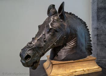 Horse's head, Herculaneum, Archaeological Museum of Naples, Italy