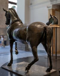 Horse from Nero’s quadriga, Herculaneum, Archaeological Museum of Naples, Italy