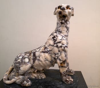 Spotted panther, Farnese Collection, Archaeological Museum of Naples, Italy