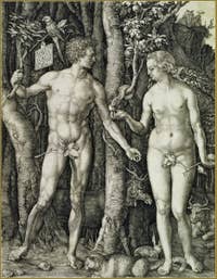 Albrecht Dürer - Adam and Eve 1504.