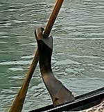 Forcola Gondola Venice