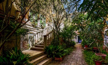 The courtyard garden of the San Marziale flat in Venice, Italy