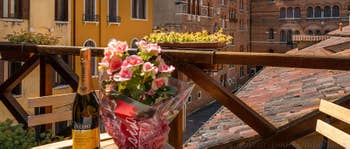 Rental Flat in Venice: House Albero Terrace